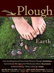 Plough Quarterly No. 4 from [object Object].
